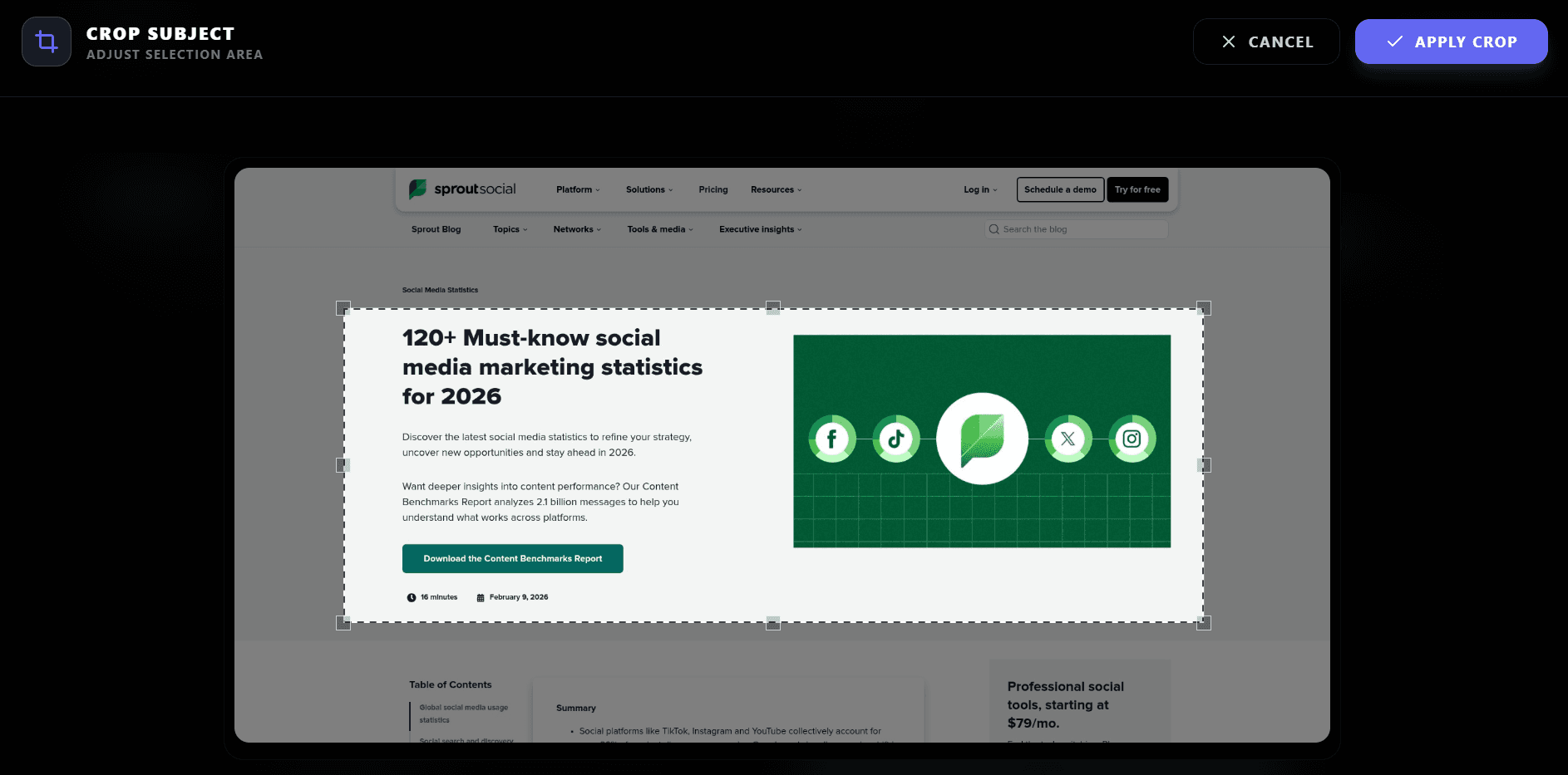 Video editors product example